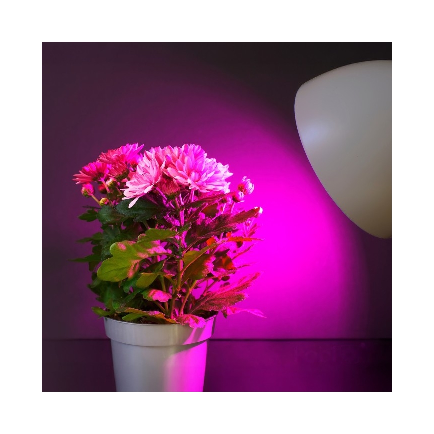 LED Žárovka pro růst rostlin PLANTY E27/11W/230V 1200K bílá