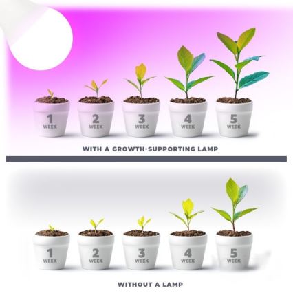 LED Žárovka pro růst rostlin PLANTY E27/11W/230V 1200K bílá