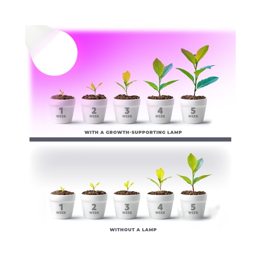 LED Žárovka pro růst rostlin PLANTY E27/11W/230V 1200K bílá