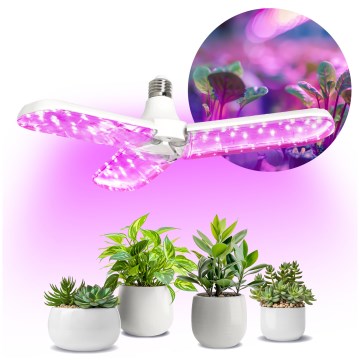 LED Žárovka pro růst rostlin PLANTY E27/24W/230V 1200K