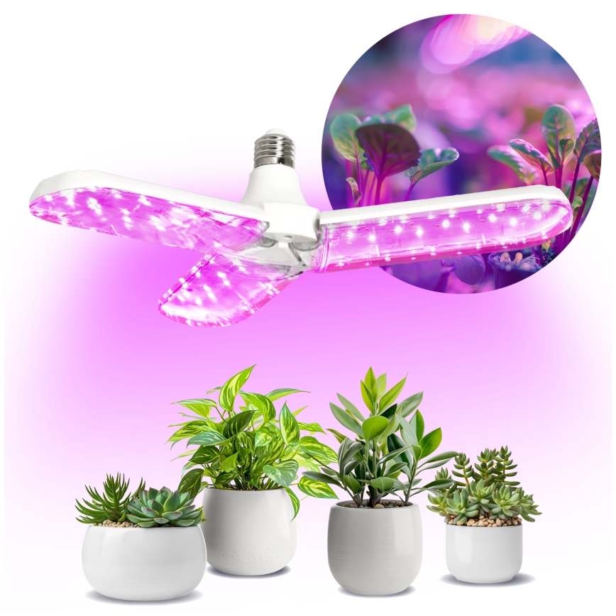 LED Žárovka pro růst rostlin PLANTY E27/24W/230V 1200K