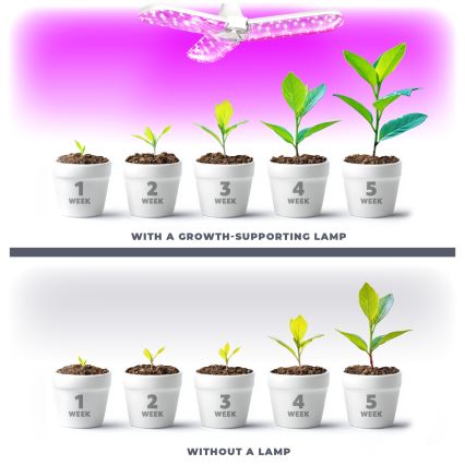 LED Žárovka pro růst rostlin PLANTY E27/24W/230V 1200K