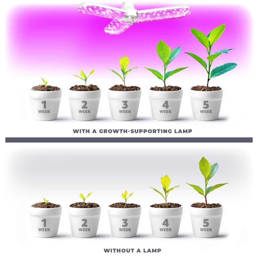 LED Žárovka pro růst rostlin PLANTY E27/24W/230V 1200K
