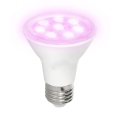 LED Žárovka pro růst rostlin PLANTY E27/7W/230V 1200K bílá