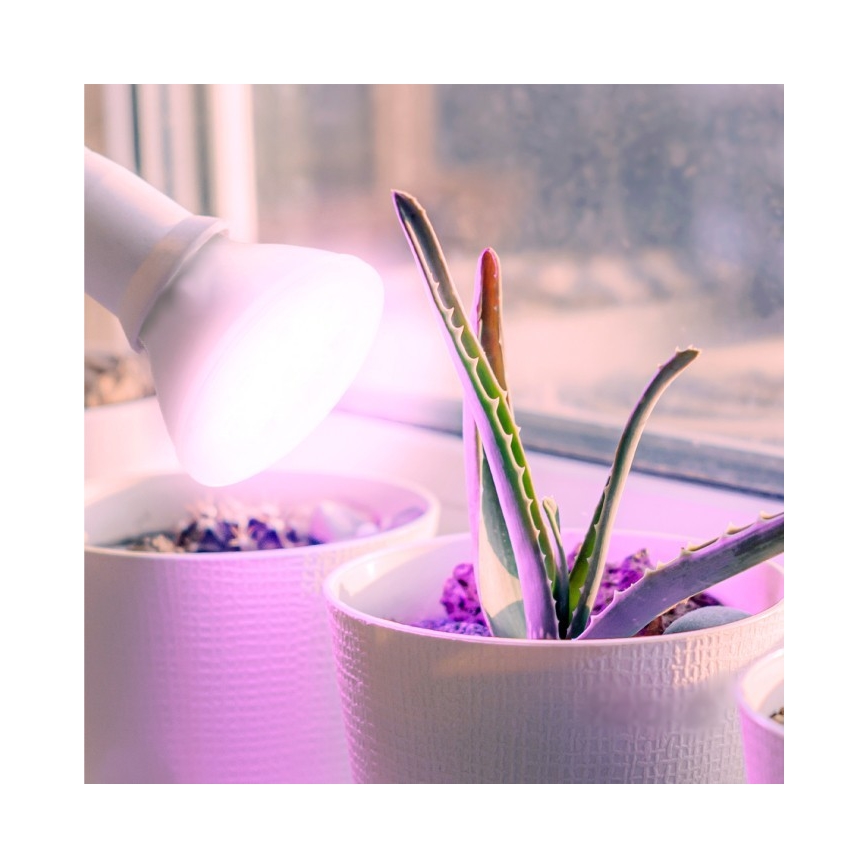 LED Žárovka pro růst rostlin PLANTY E27/7W/230V 1200K bílá