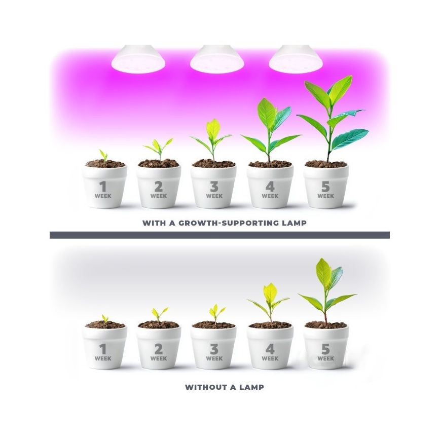 LED Žárovka pro růst rostlin PLANTY E27/7W/230V 1200K bílá