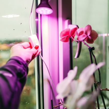 LED Žárovka pro růst rostlin PLANTY E27/7W/230V 1200K černá
