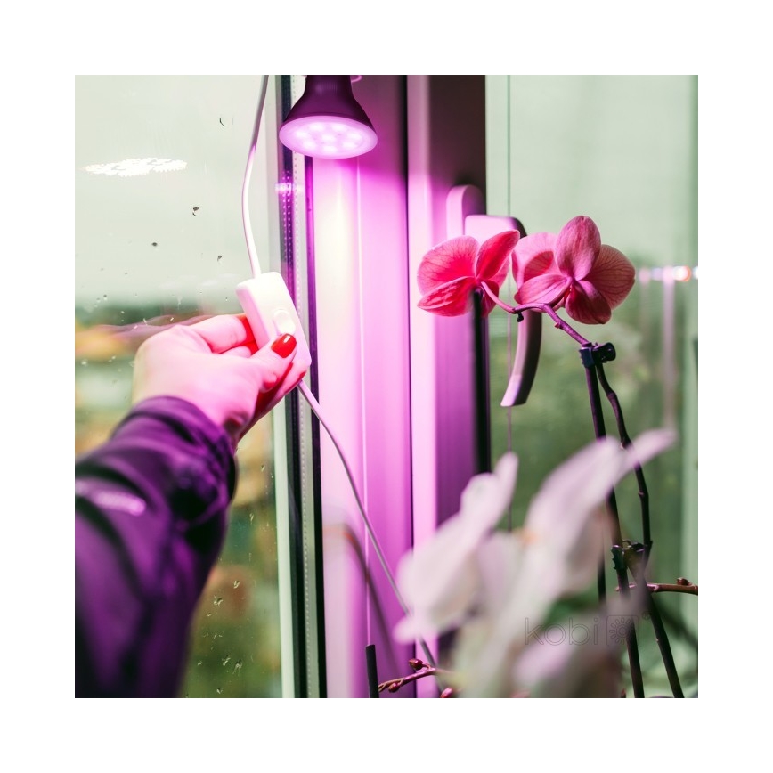 LED Žárovka pro růst rostlin PLANTY E27/7W/230V 1200K černá