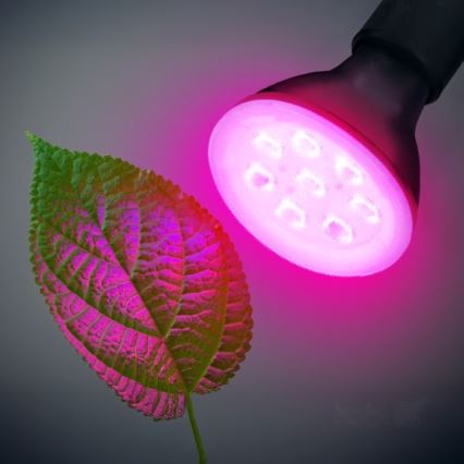 LED Žárovka pro růst rostlin PLANTY E27/7W/230V 1200K černá