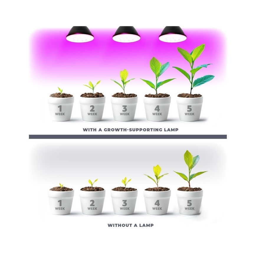 LED Žárovka pro růst rostlin PLANTY E27/7W/230V 1200K černá