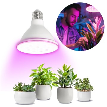 LED Žárovka pro růst rostlin PLANTY E27/9W/230V 1200K bílá