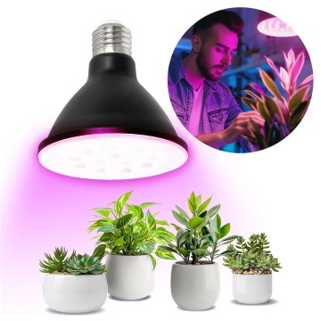LED Žárovka pro růst rostlin PLANTY E27/9W/230V 1200K černá