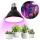 LED Žárovka pro růst rostlin PLANTY E27/9W/230V 1200K černá