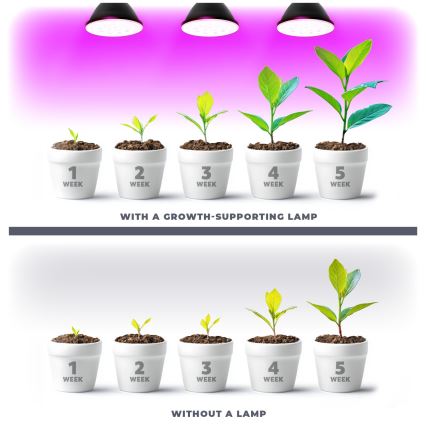 LED Žárovka pro růst rostlin PLANTY E27/9W/230V 1200K černá