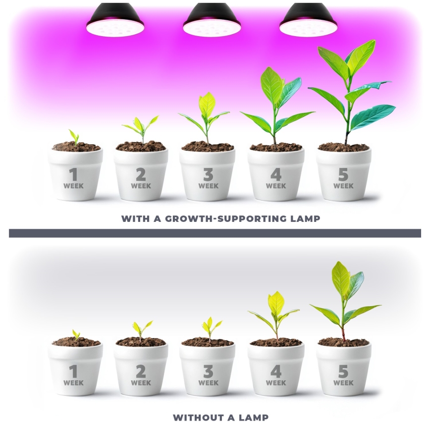 LED Žárovka pro růst rostlin PLANTY E27/9W/230V 1200K černá