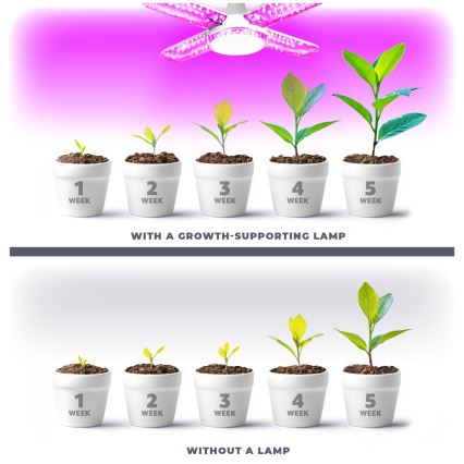LED Žárovka pro růst rostlin VITABLOOM E27/40W/230V 1200K - Brilagi