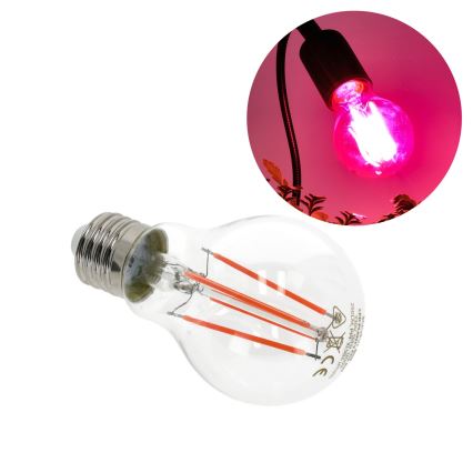 LED Žárovka pro růst rostlin VITABLOOM E27/8W/230V 1200K - Brilagi