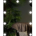 LED Zrcadlo s osvětlením 9xLED/1W/230V 3000/4000/6000K 50x40 cm IP44