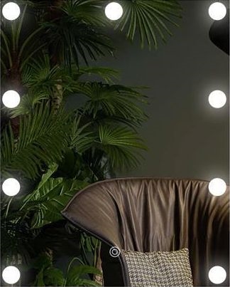 LED Zrcadlo s osvětlením 9xLED/1W/230V 3000/4000/6000K 50x40 cm IP44