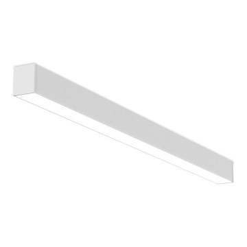 LED2 - LED Stmívatelné stropní svítidlo NOLI LED/40W/230V 3000K/3500K/4000K bílá