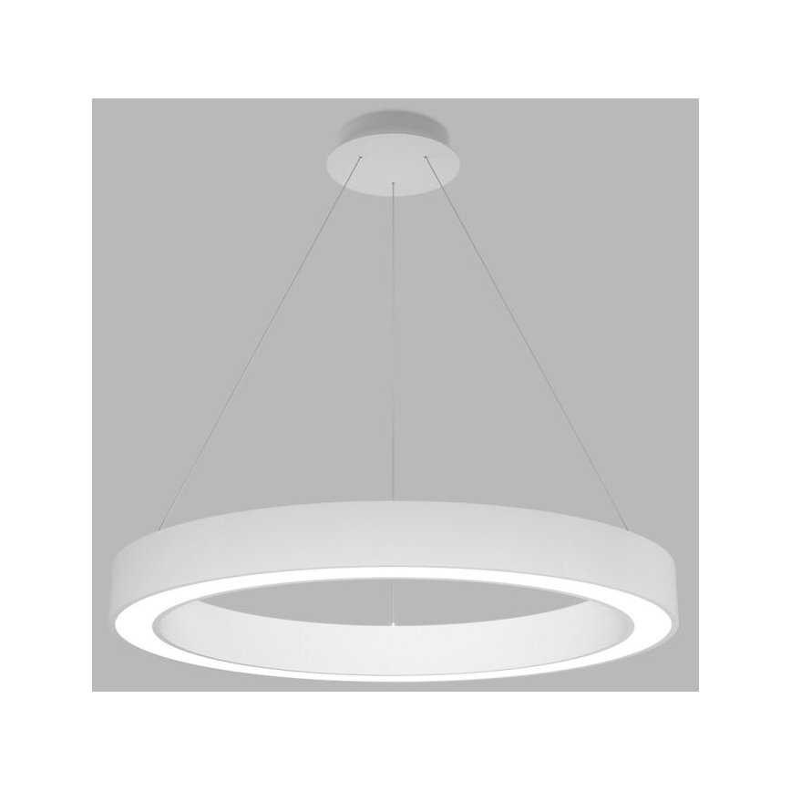 LED2 - LED Stmívatelný lustr na lanku SATURN LED/60W/230V 3000K/4000K bílá