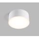 LED2 - LED Stropní svítidlo BUTTON LED/17W/230V bílá