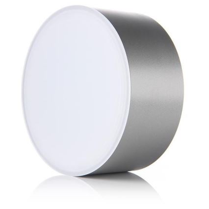 LED2 - LED Stropní svítidlo BUTTON LED/17W/230V stříbrná