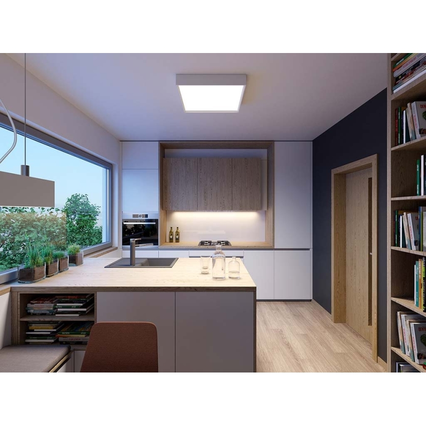 LED2 - LED Stropní svítidlo MILO LED/30W/230V bílá 3000/4000K