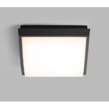 LED2 - LED Venkovní stropní svítidlo QUADO LED/10W/230V antracit IP54