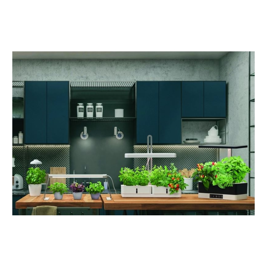 Ledvance - LED Interiérová lampa na rostliny GARDEN LIGHT LED/14W/230V