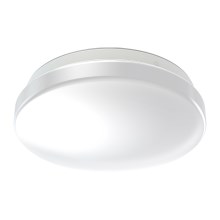 Ledvance - LED Koupelnové stropní svítidlo CEILING ROUND LED/12W/230V 3000K IP44