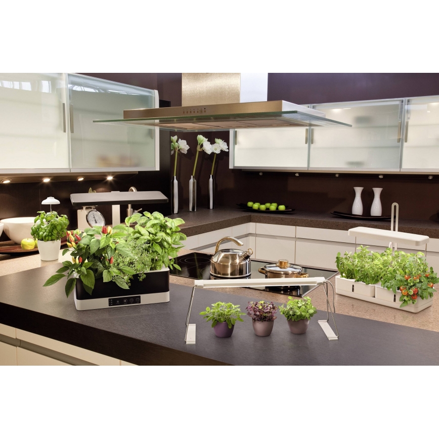 Ledvance - LED Stmívatelná interiérová lampa na rostliny GARDEN KIT LED/24W/230V