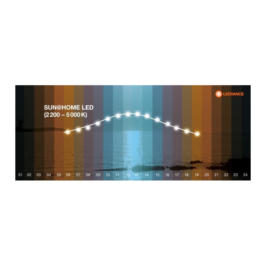 Ledvance - LED Stmívatelná stojací lampa SUN@HOME LED/36W/230V 2200-5000K CRI 95 Wi-Fi