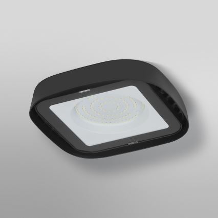 Ledvance - LED Stropní průmyslové svítidlo HIGHBAY LED/80W/230V IP65 6500K