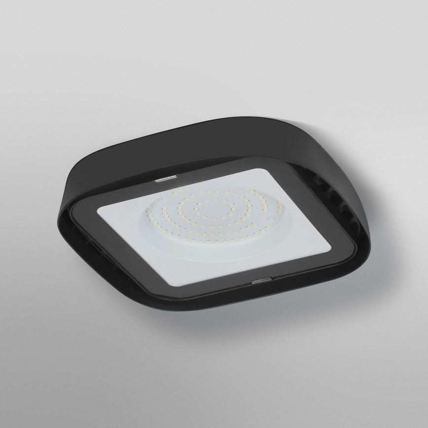 Ledvance - LED Stropní průmyslové svítidlo HIGHBAY LED/80W/230V IP65 6500K