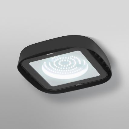 Ledvance - LED Stropní průmyslové svítidlo HIGHBAY LED/80W/230V IP65 6500K