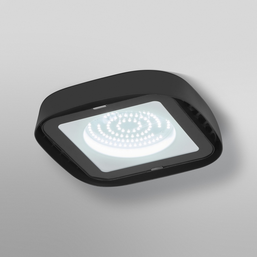 Ledvance - LED Stropní průmyslové svítidlo HIGHBAY LED/80W/230V IP65 6500K