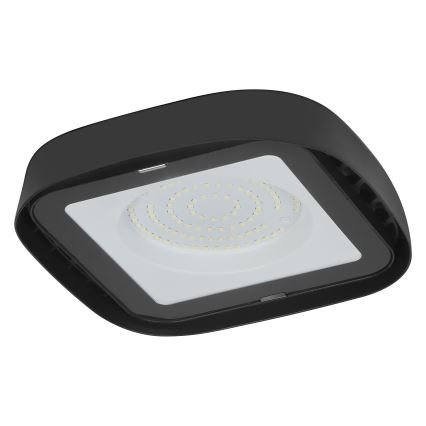 Ledvance - LED Stropní průmyslové svítidlo HIGHBAY LED/80W/230V IP65 6500K