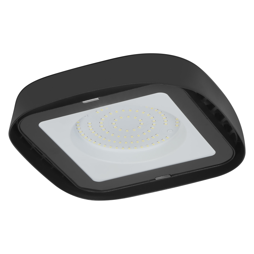 Ledvance - LED Stropní průmyslové svítidlo HIGHBAY LED/80W/230V IP65 6500K