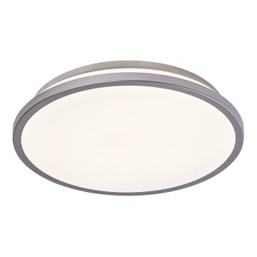 Ledvance - LED Stropní svítidlo ORBIS DUBLIN LED/16W/230V pr. 29,5 cm