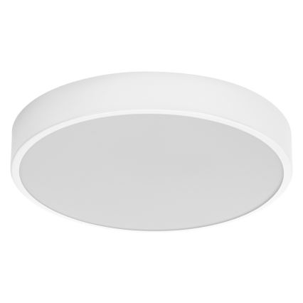 Ledvance - LED Stropní svítidlo ORBIS SLIM LED/20W/230V bílá