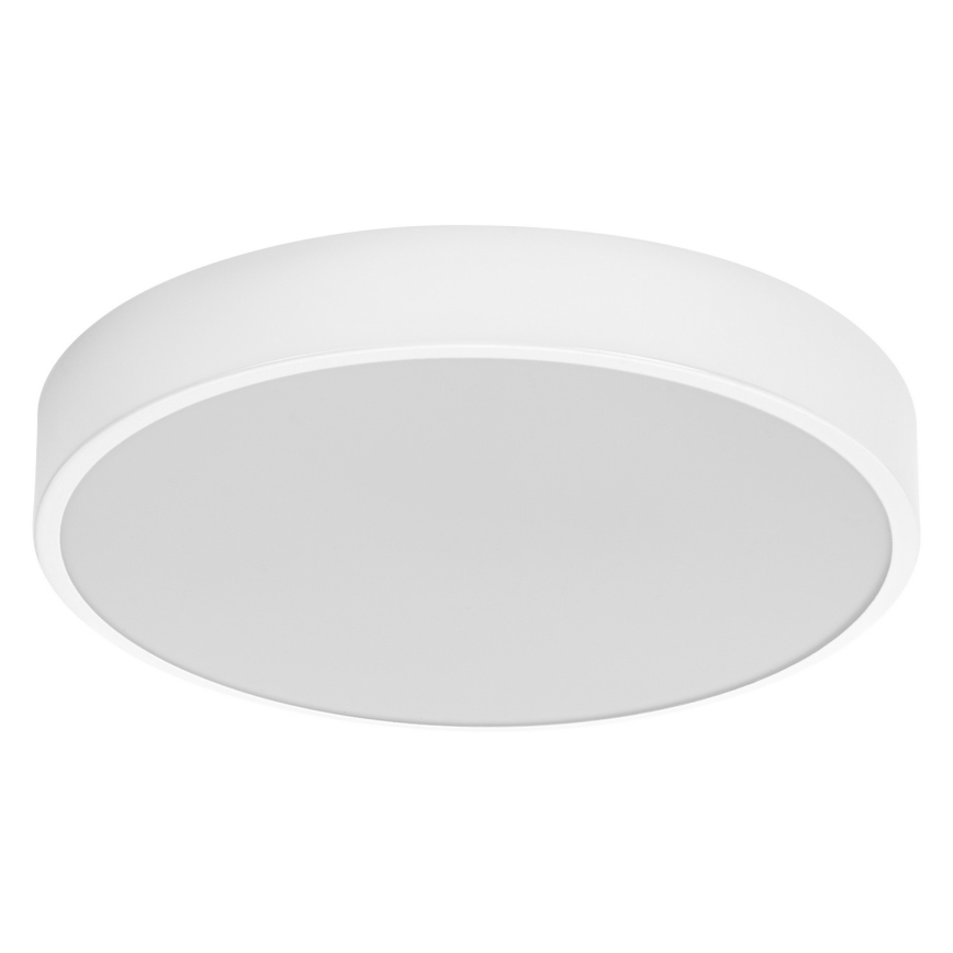 Ledvance - LED Stropní svítidlo ORBIS SLIM LED/20W/230V bílá