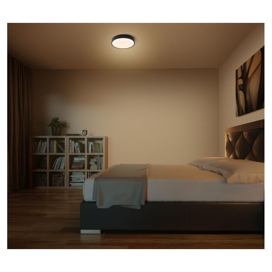 Ledvance - LED Stropní svítidlo ORBIS SLIM LED/20W/230V černá