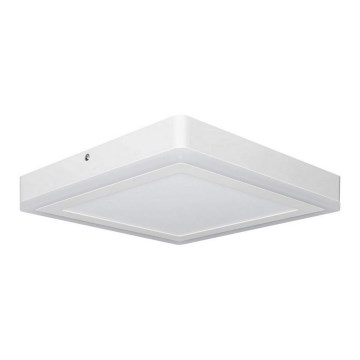 Ledvance - LED Stropní svítidlo SQUARE LED/18W/230V