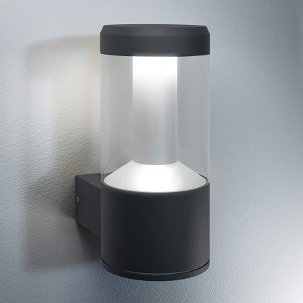 Ledvance - LED Venkovní nástěnné svítidlo LANTERN 1xLED/12W/230V IP44