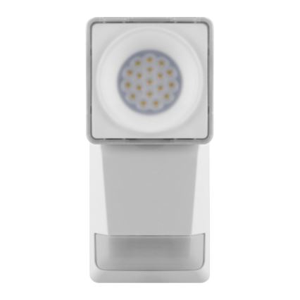 Ledvance - LED Venkovní nástěnné svítidlo se senzorem SPOT LED/8W/230V IP55 bílá