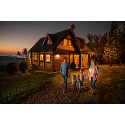 Ledvance - LED Venkovní nástěnný reflektor se senzorem pohybu a soumraku FLOODLIGHT LED/30W/230V IP65