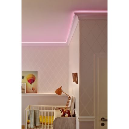 Ledvance - LED Venkovní pásek FLEX 3m LED/19W/230V IP44