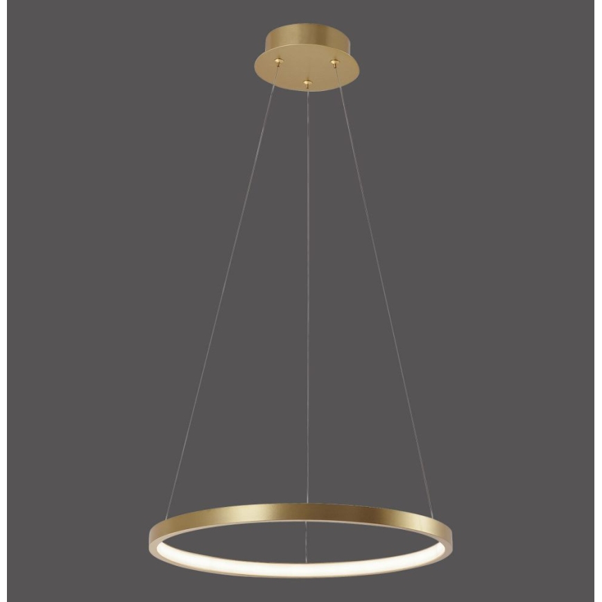 Leuchten Direkt 11522-12 - LED Lustr na lanku CIRCLE LED/19W/230V
