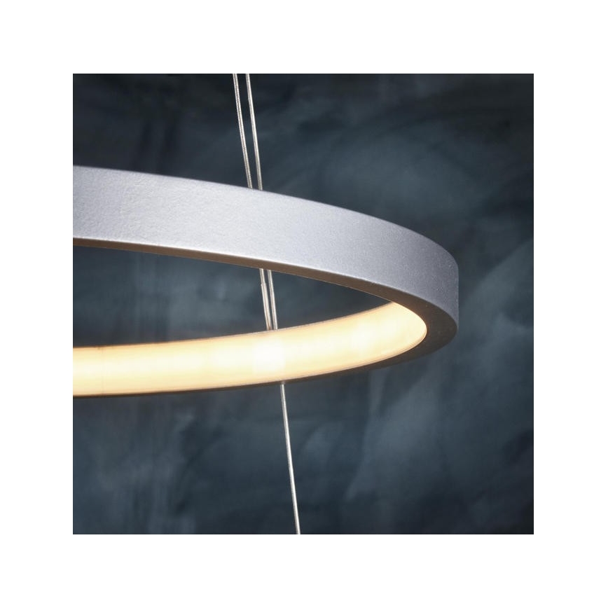 Leuchten Direkt 11525-21 - LED Lustr na lanku CIRCLE 1xLED/15W/230V + LED/25W